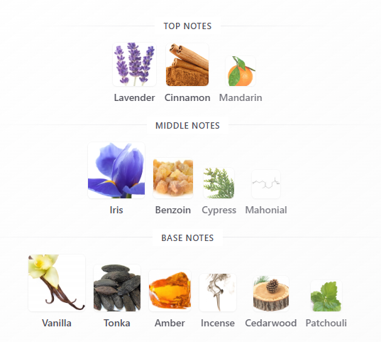 https://bizweb.dktcdn.net/100/412/708/products/image-1778835568813.png?v=1779442773410