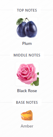 Victoria’s Secret Hardcore Rose 50ml