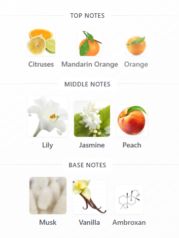 https://bizweb.dktcdn.net/100/412/708/products/image-1779528288787.png?v=1779528291957