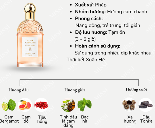 https://bizweb.dktcdn.net/100/412/708/products/image-1789366355143.png?v=1789366358337