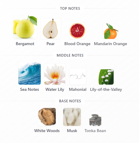 White Tea Eau Fraiche Eau De Toilette - 100ml