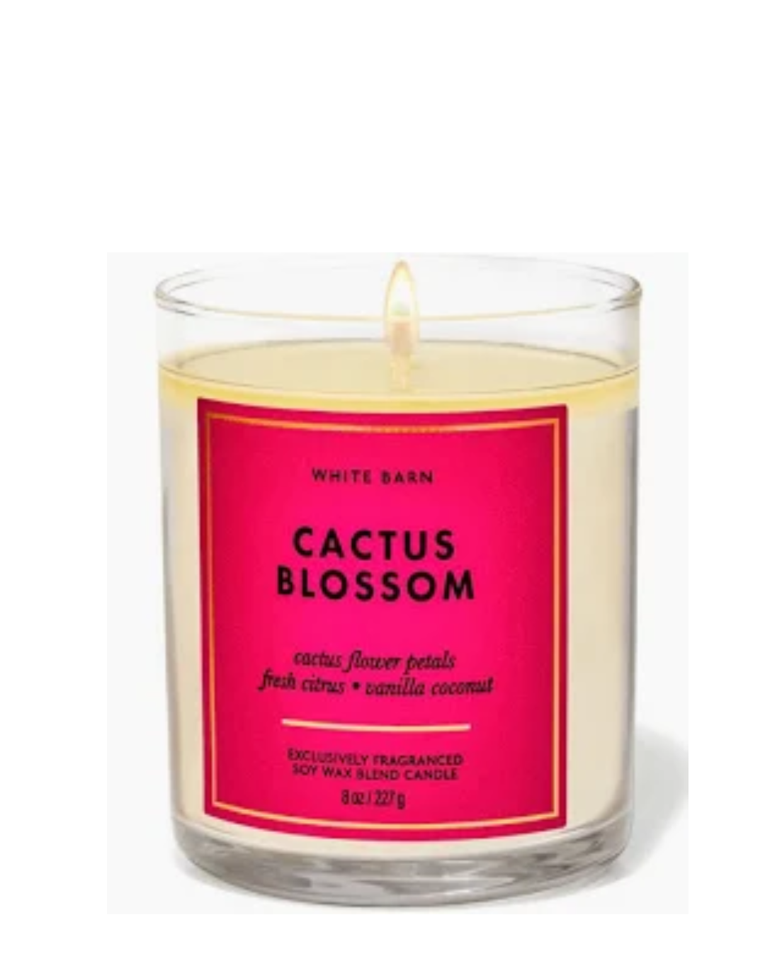 Bath & Body Works Nến thơm 1 bấc - Cactus Blosom