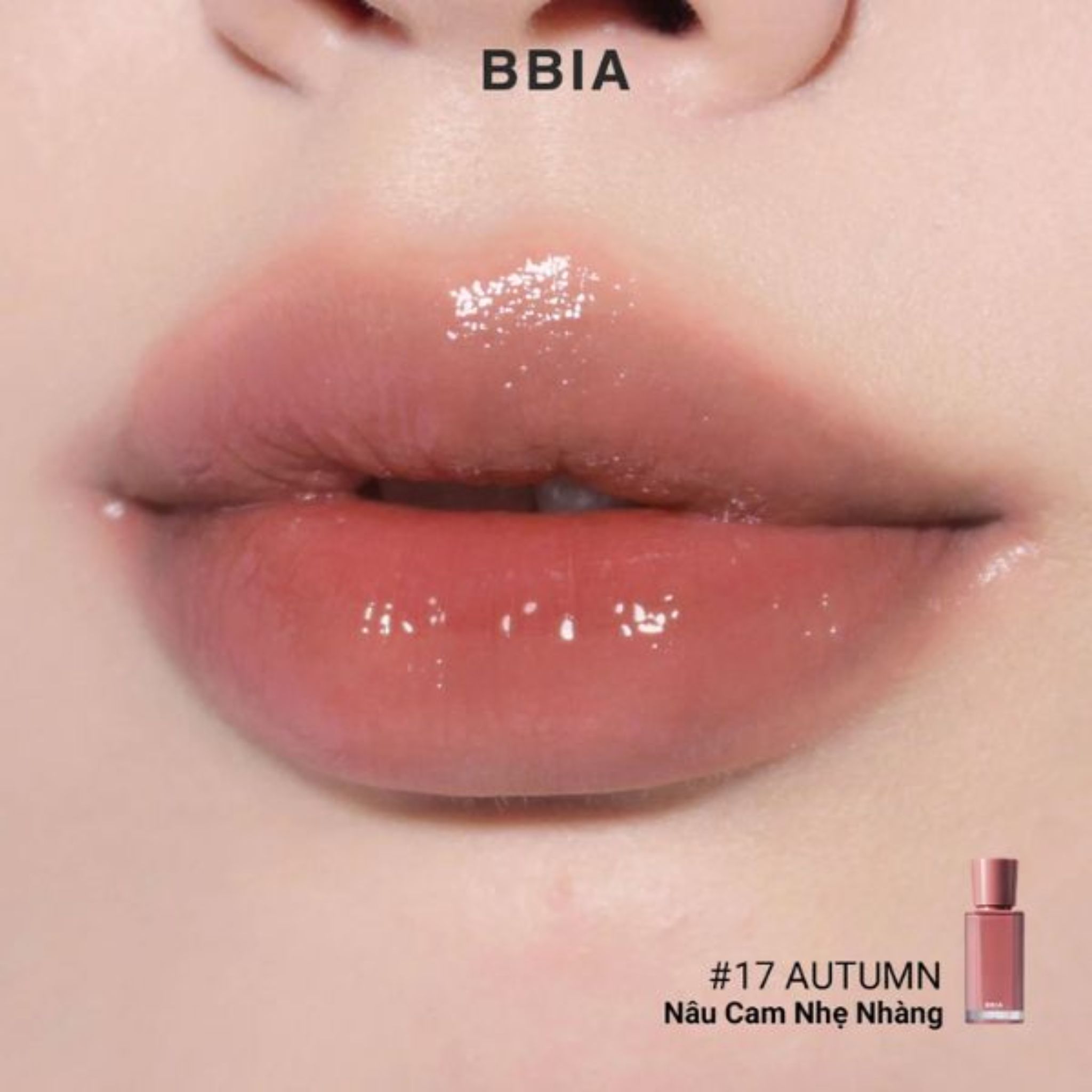BBIA GLOW TINT D/C - 17 autumn