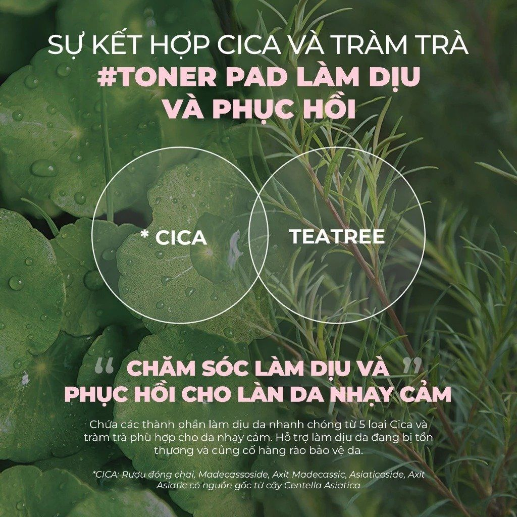 Neogen Dermalogy Calming Cica Tree Pad