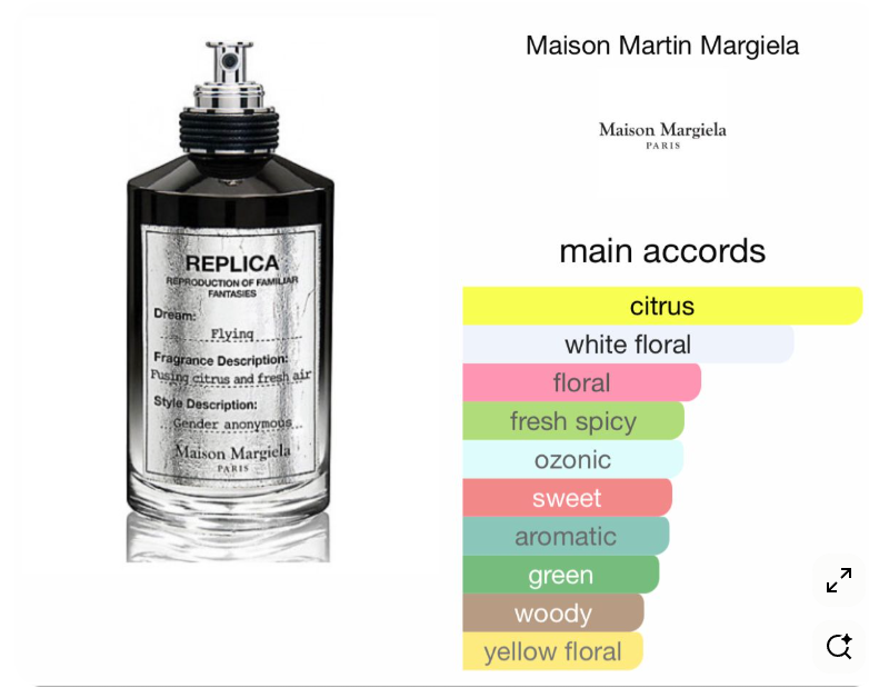 Maison Margiela Replica Flying - 10ml