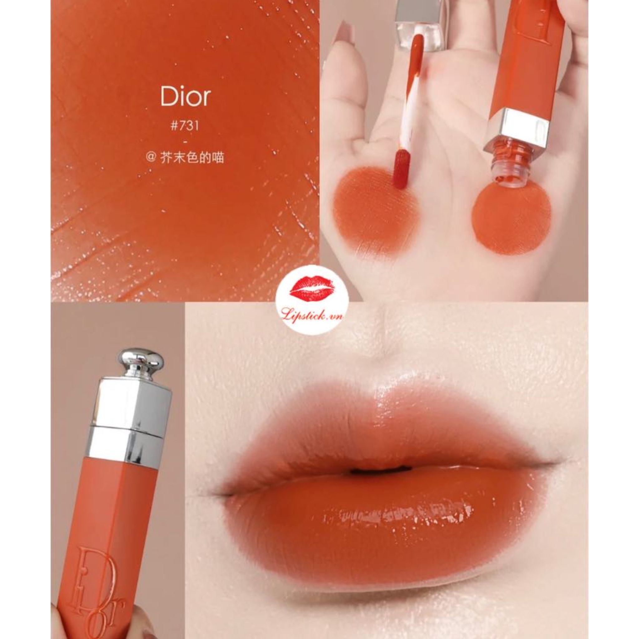 Dior Son Highend - Addict Lip Tint - 731 Natural Ginger