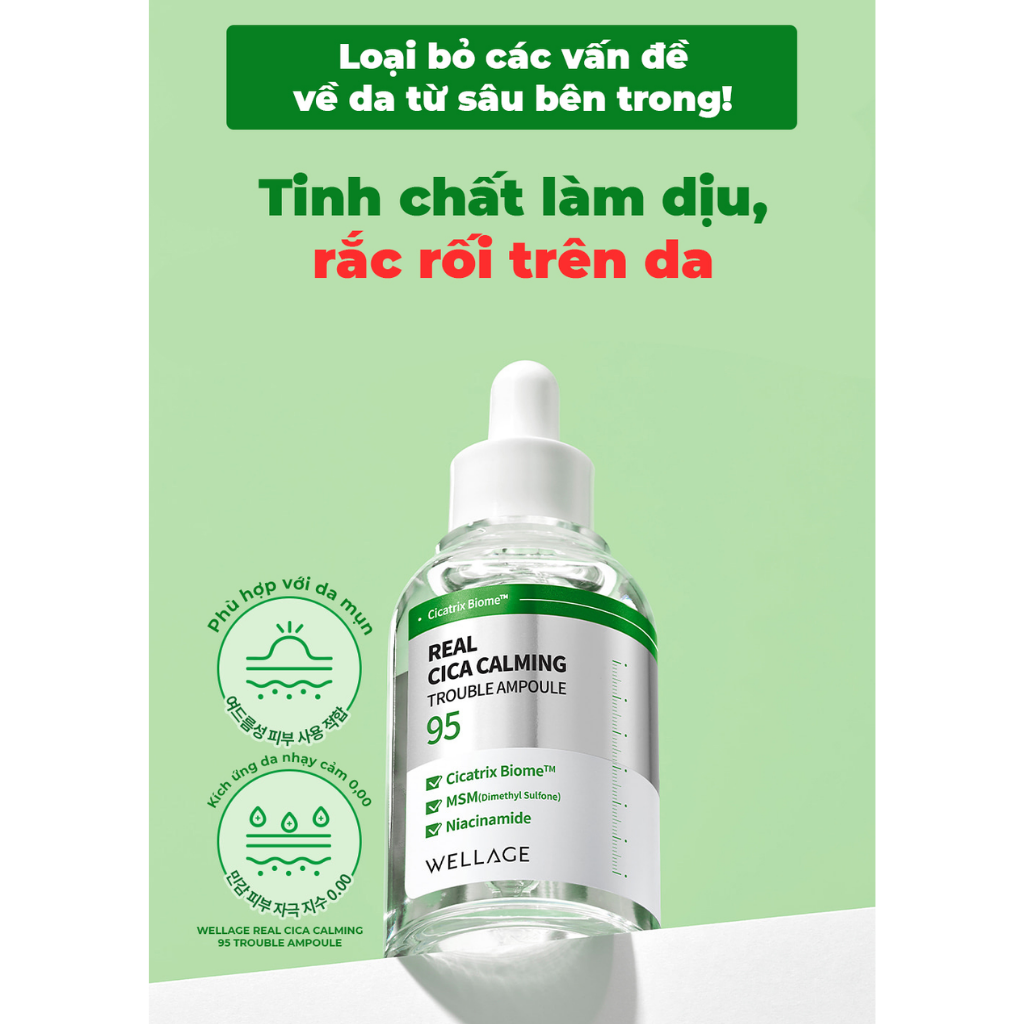 BMT 11/2026 - Wellage Real Cica Calming 95 Trouble Ampoule 50ml