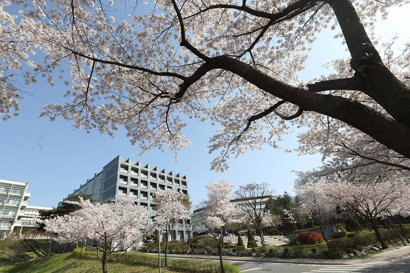 Top 5 trường đào tạo ngành truyền thông bậc nhất tại Hàn Quốc