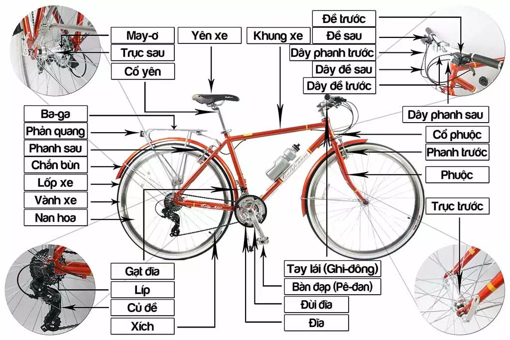 Cấu tạo của một chiếc xe thể thao cơ bản