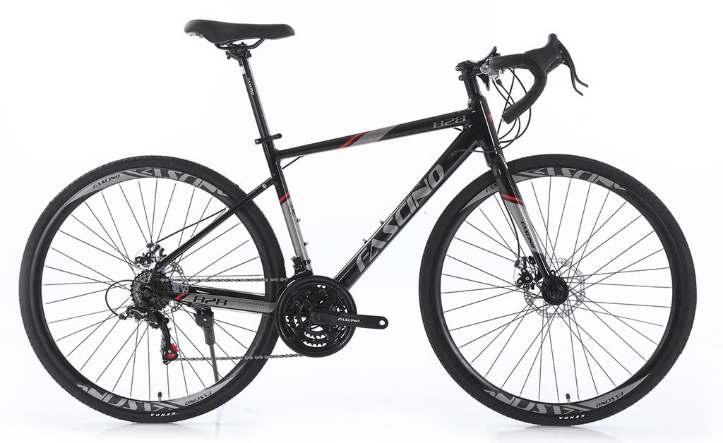 Xe đạp đua Road bike Fascino 828