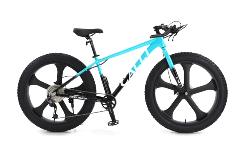 Xe đạp địa hình bánh béo CALLI 3100