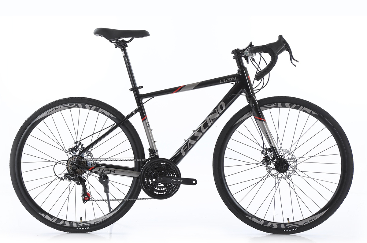 Xe đạp đua Road bike Fascino 828