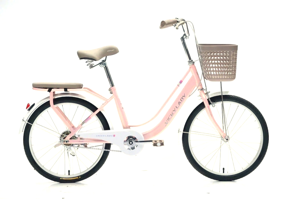 Xe đạp mini Vicky Lady LY22