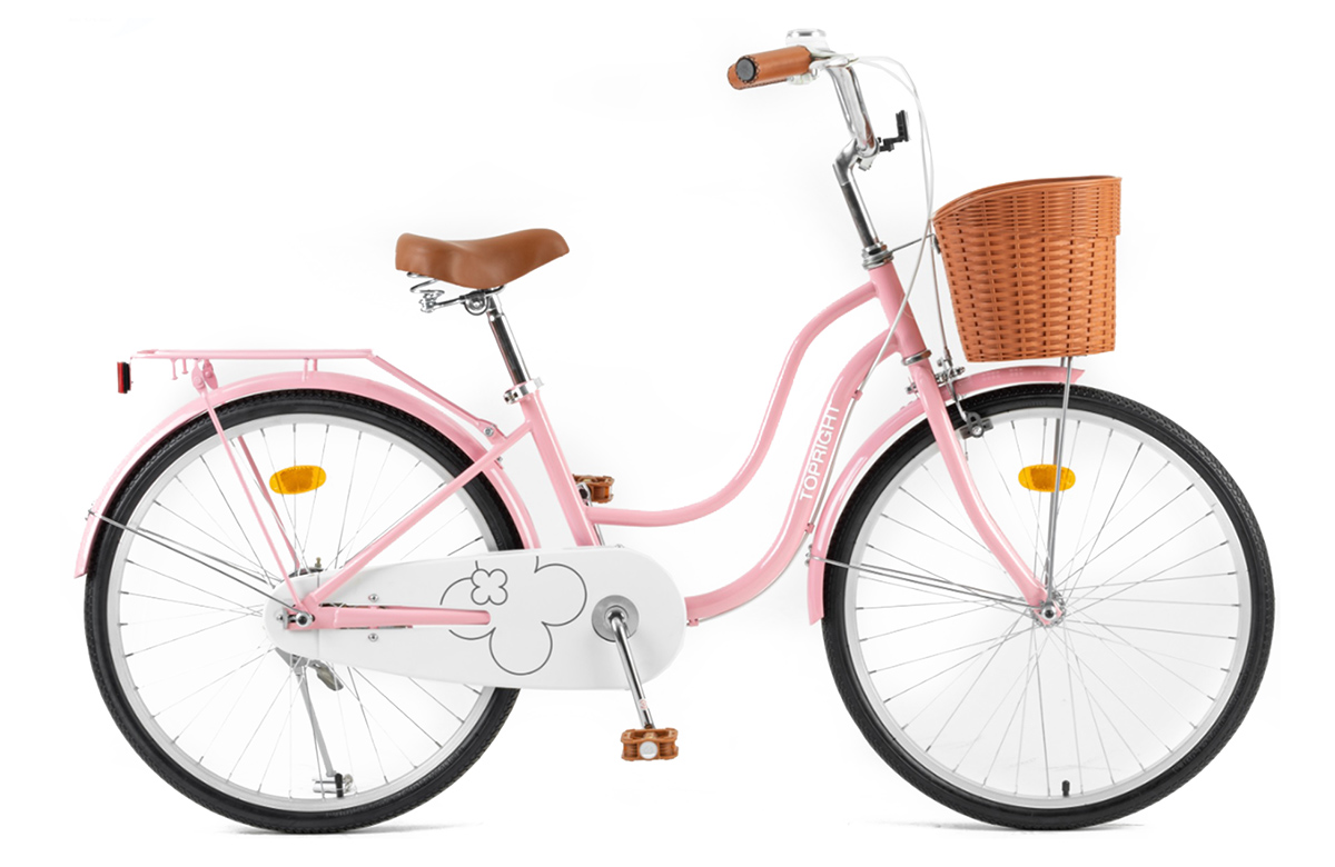 Xe đạp Mini Topright Annie AN-22