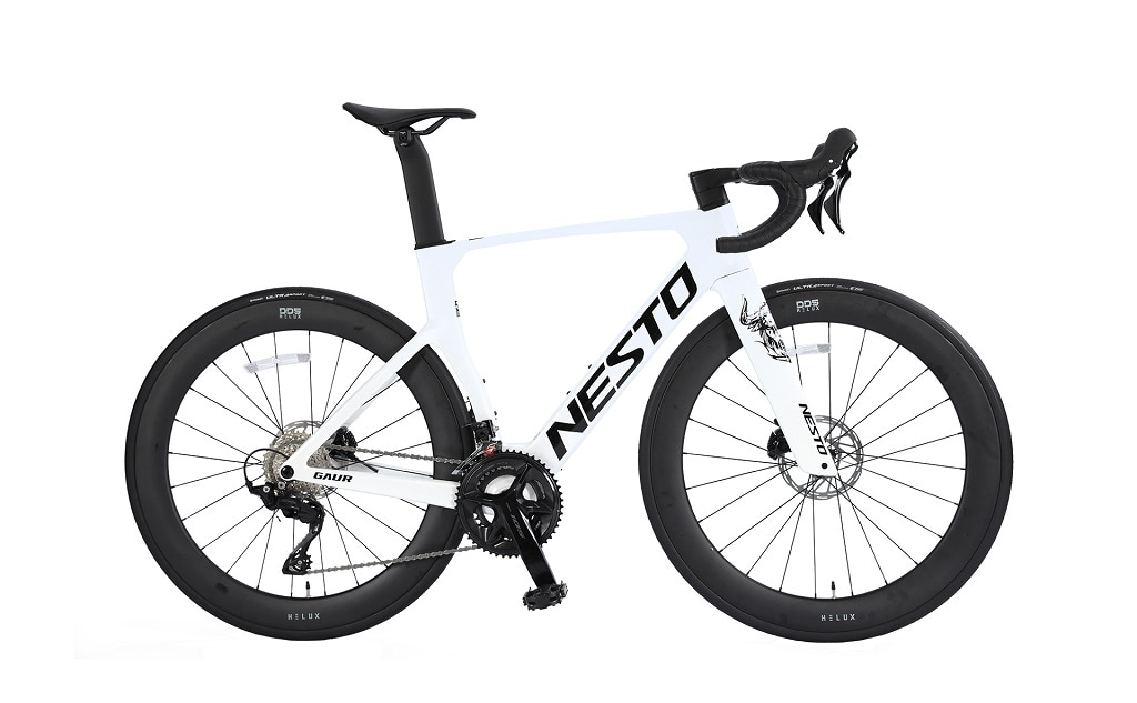 Xe đạp đua NESTO GAUR