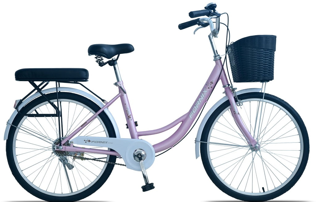 Xe đạp mini Fornix IOL24 24 IN