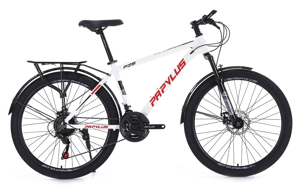 Xe đạp Papylus PZ6M