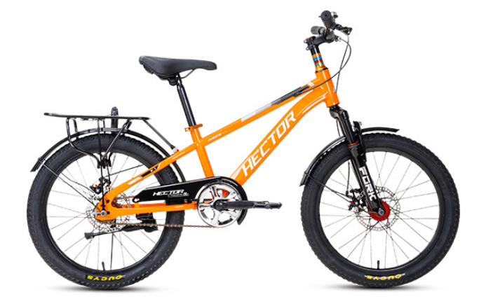 Xe đạp trẻ em Hector Ares 2B 20 Inch