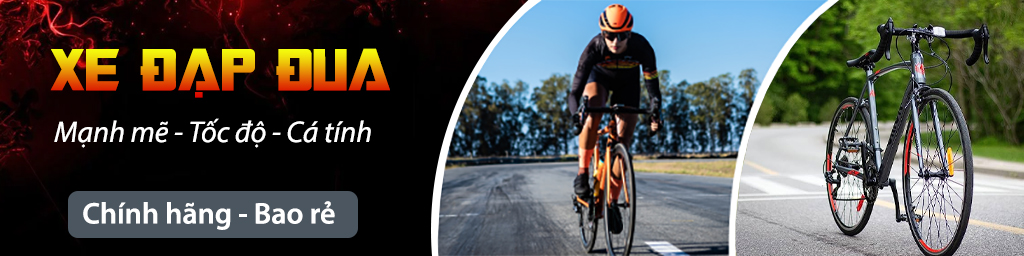 Xe đạp đua