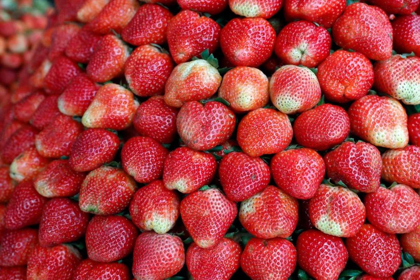 Du lịch Lâm Đồng – Chơi gì, ăn gì, ở đâu (P2)