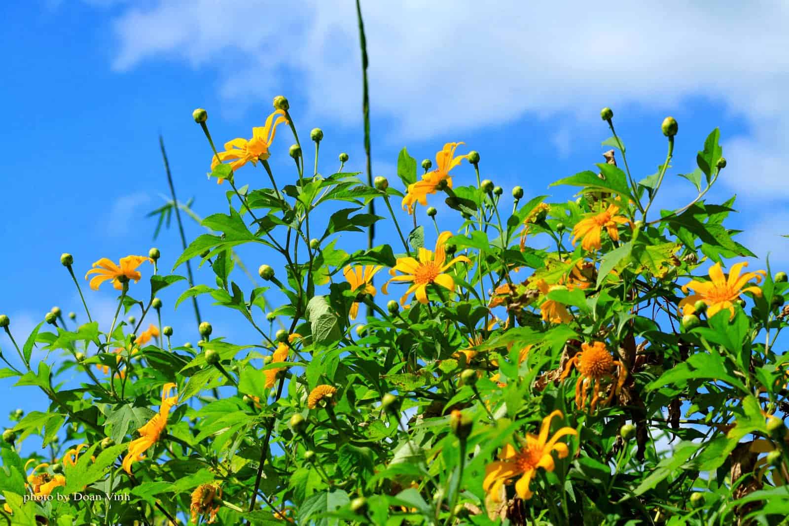 DU LỊCH ĐẮK LẮK - NHỮNG ĐỊA ĐIỂM ĂN UỐNG, VUI CHƠI (P1)