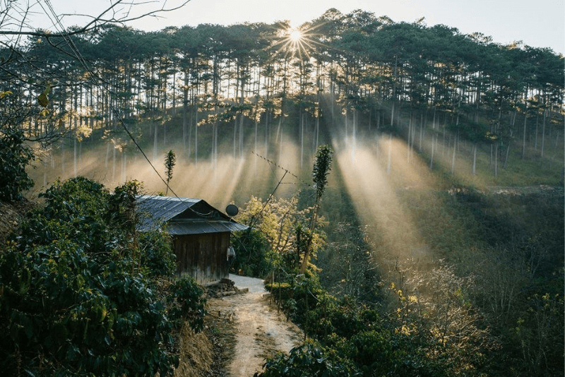 Rừng thông Măng Đen – Những điểm checkin lí tưởng (P3)