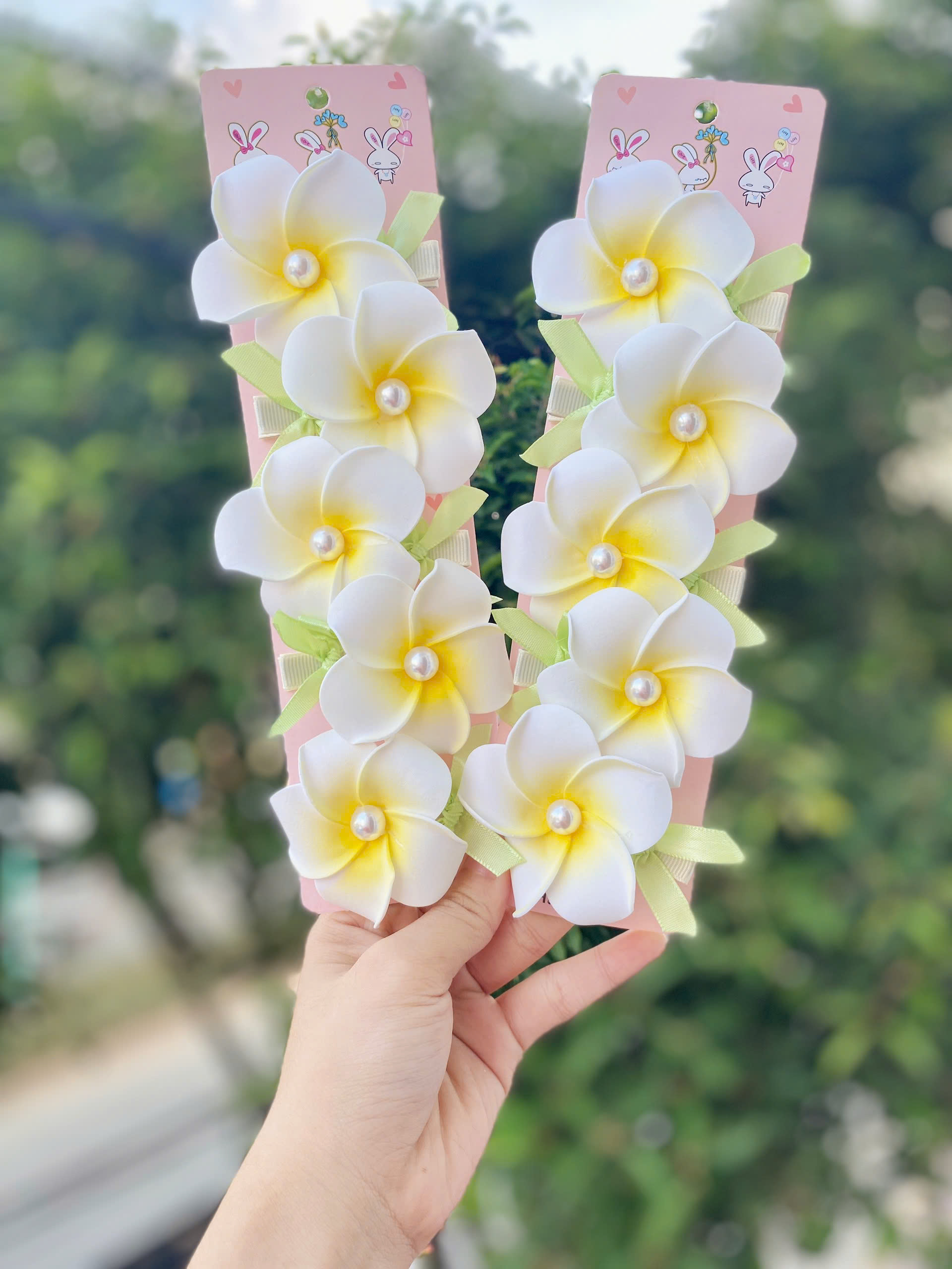 Set kẹp Hoa Lan Xinh iu