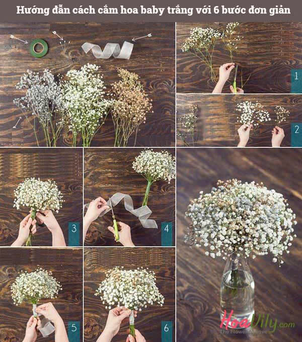 Cách cắm hoa đơn giản tại nhà cho người mới bắt đầu 🌸