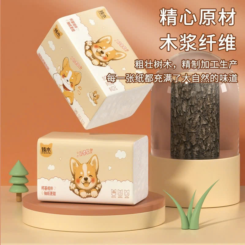 Túi Khăn Giấy RCKHAN259
