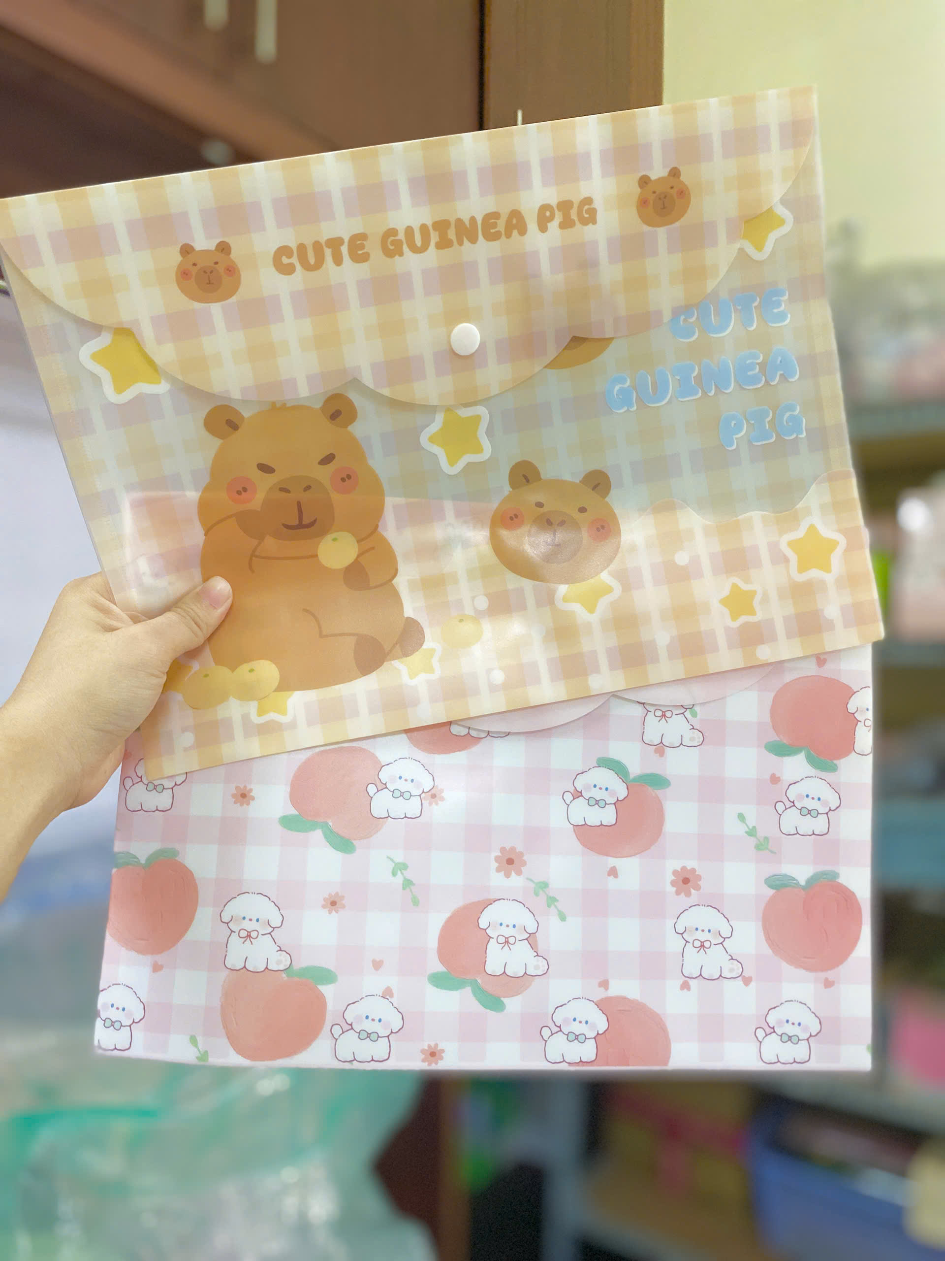 Bìa A4 Đựng Tài Liệu ND01449