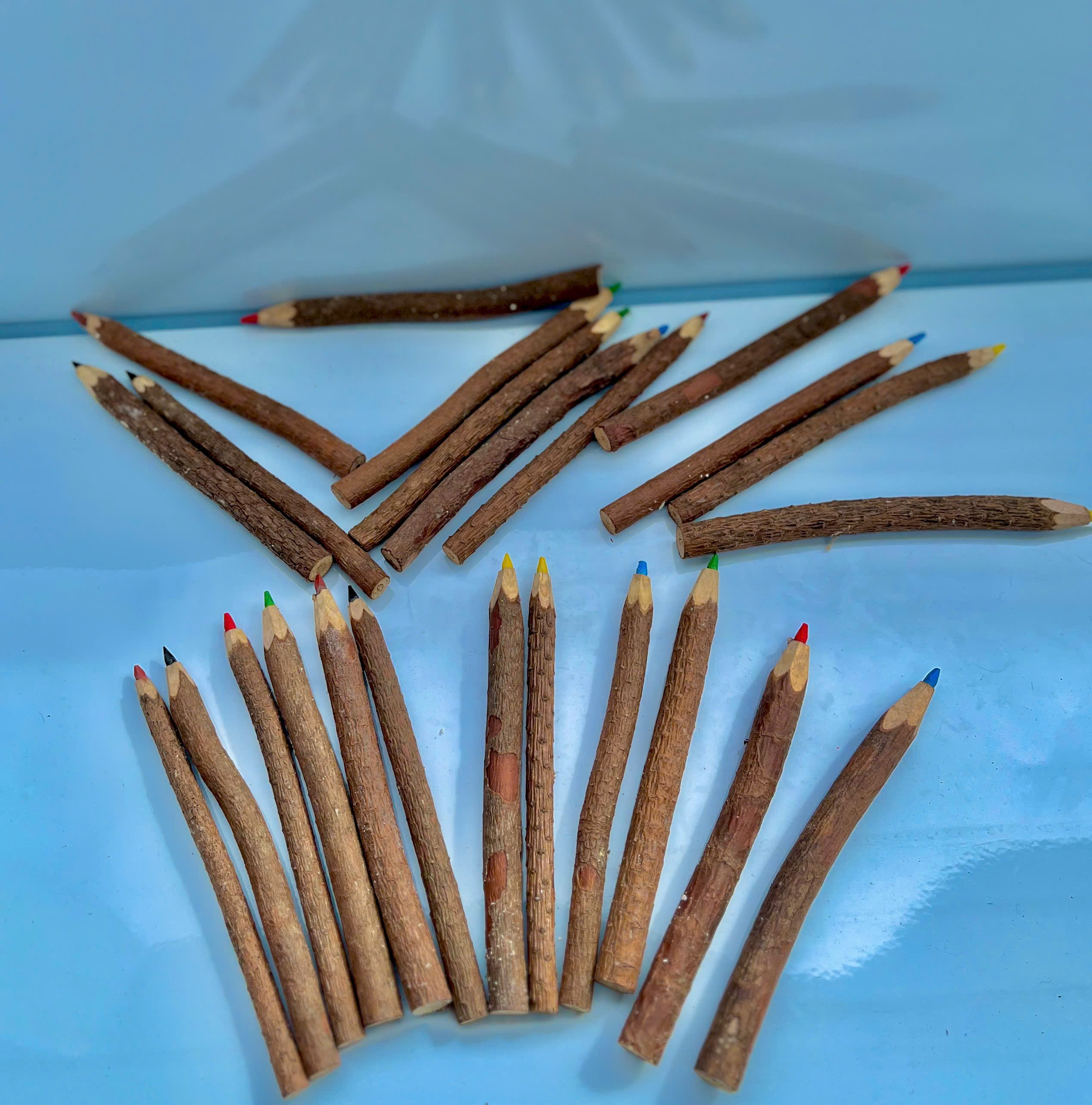 ( SET 12) Chì Màu Nhánh Cây NT146