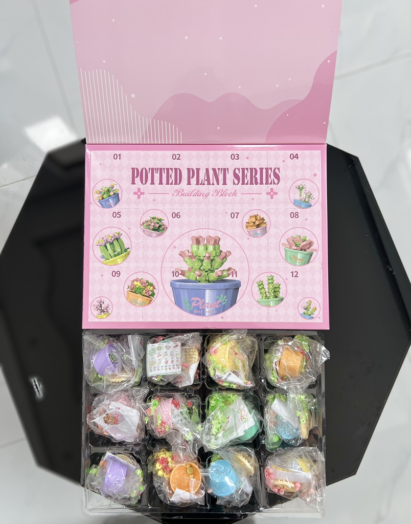 Hộp 12 Lego Hoa RC4119