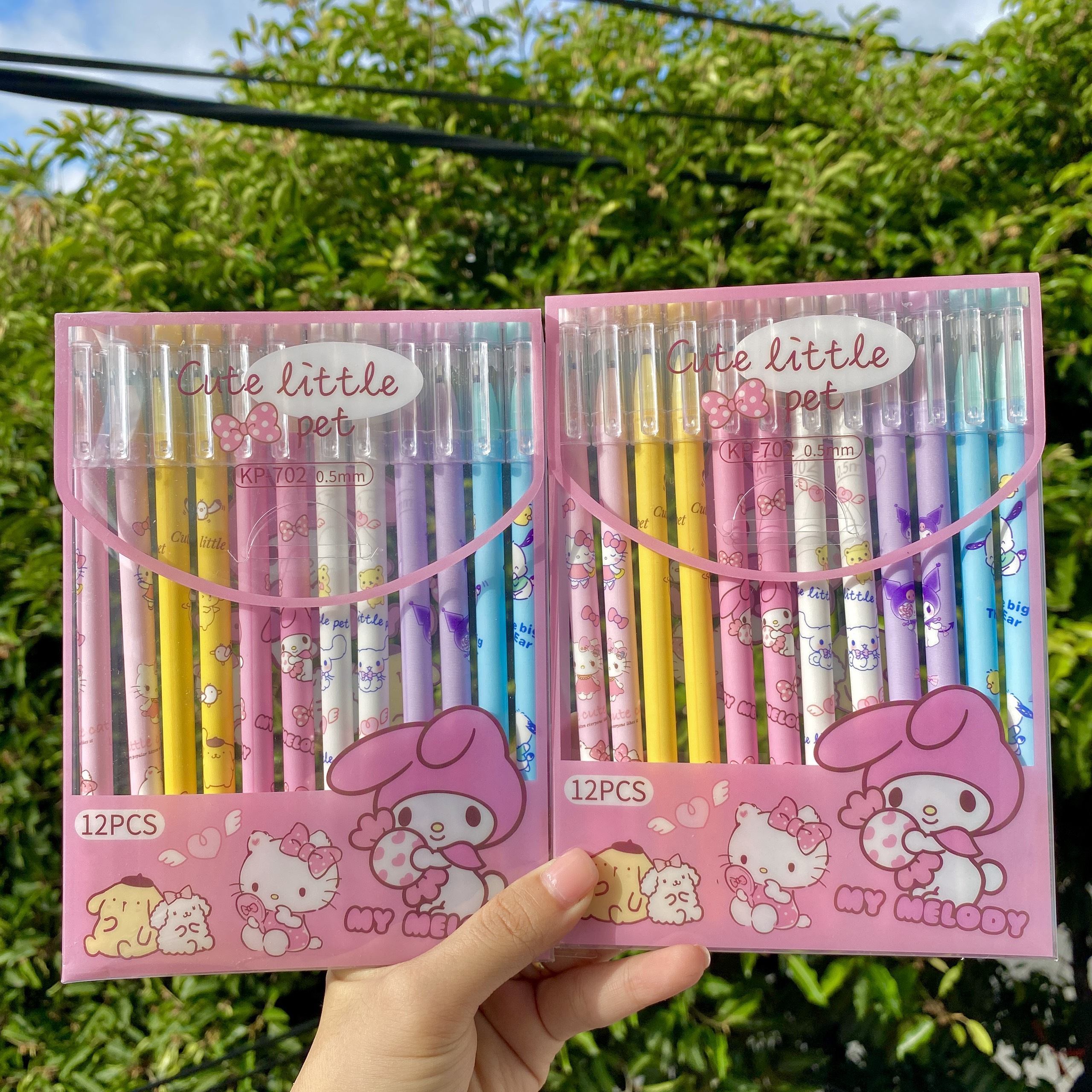 Hộp 12 Bút Bi Xoá Được Melody RC02407