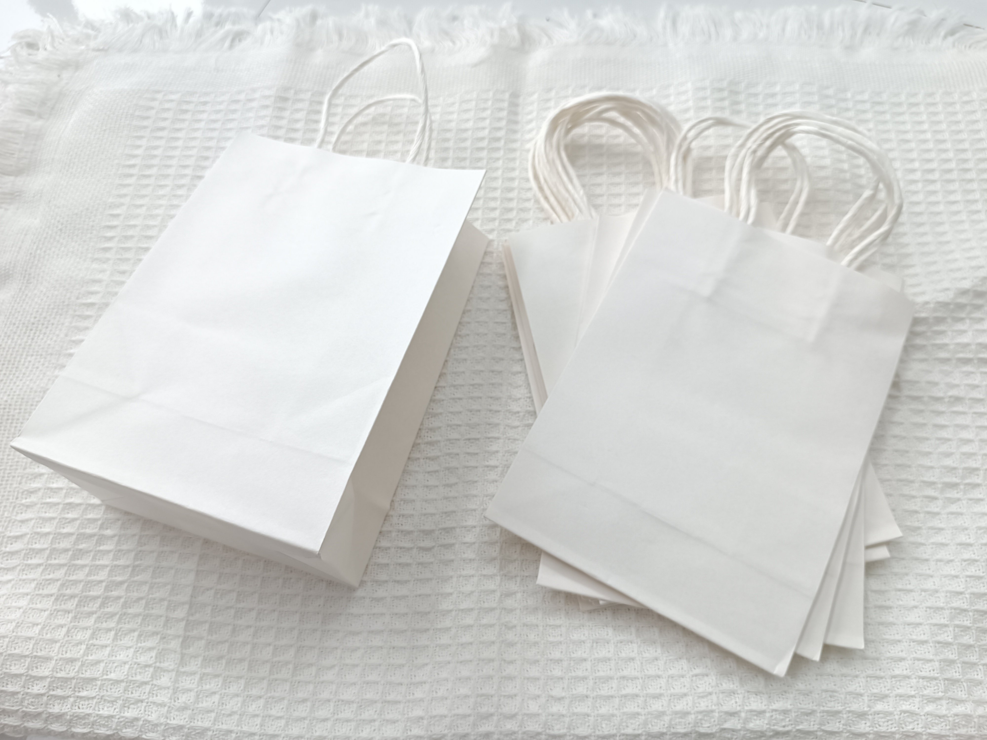 Set 10  Túi Giấy Trắng  size 20.5*15*8cm  RCTG3748