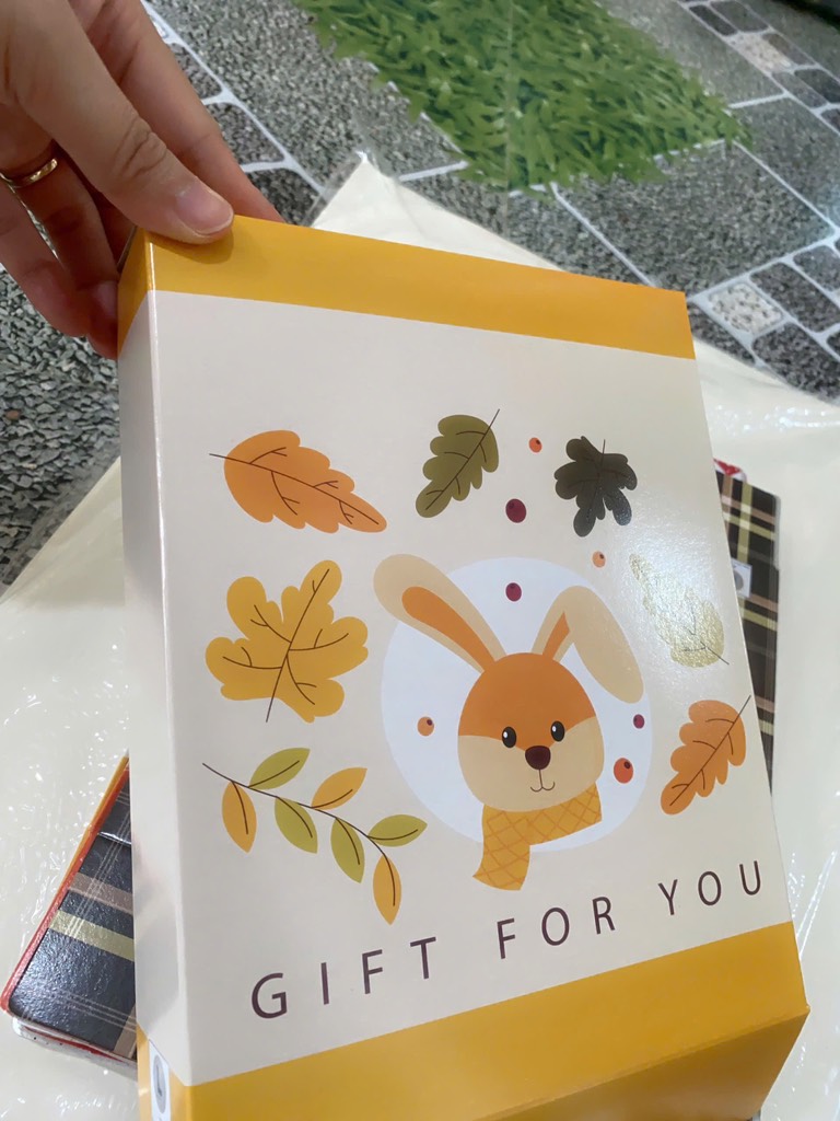 Set 10 Hộp Quà Xếp A5 N23