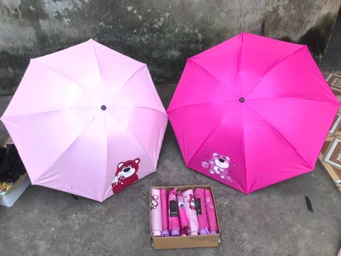 Dù Nhiều Mẫu ND0242