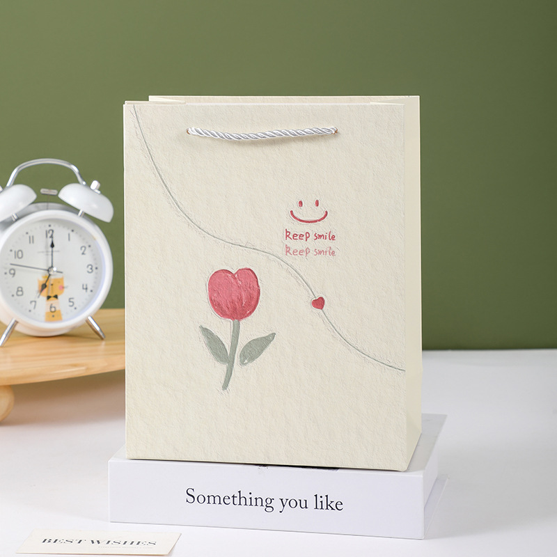 Túi Quà Dọc Size 19.5*14.5*10 cm RC831