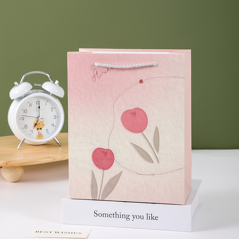 Túi Quà Dọc Size 19.5*14.5*10 cm RC831