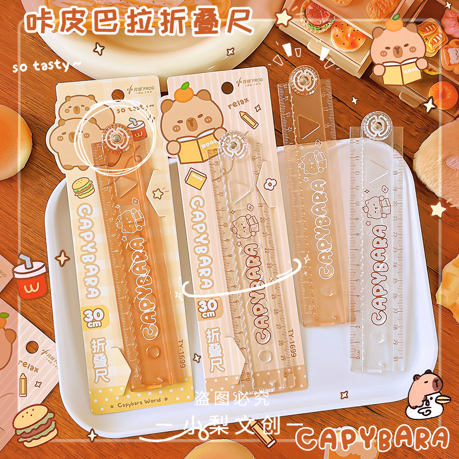 Set 10 Thước Gấp Capy 30cm R3425