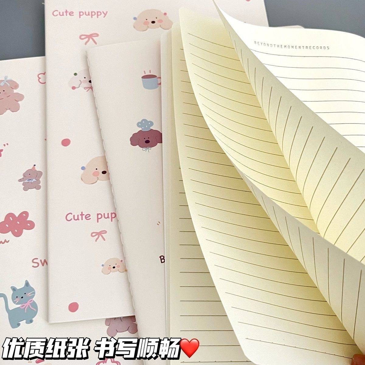 Lốc 4 Sổ B5 Thú RC3546