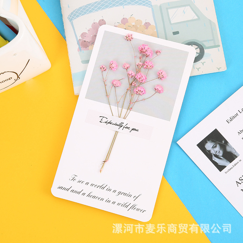 Set 10 Thiệp Hoa Khô RC1256