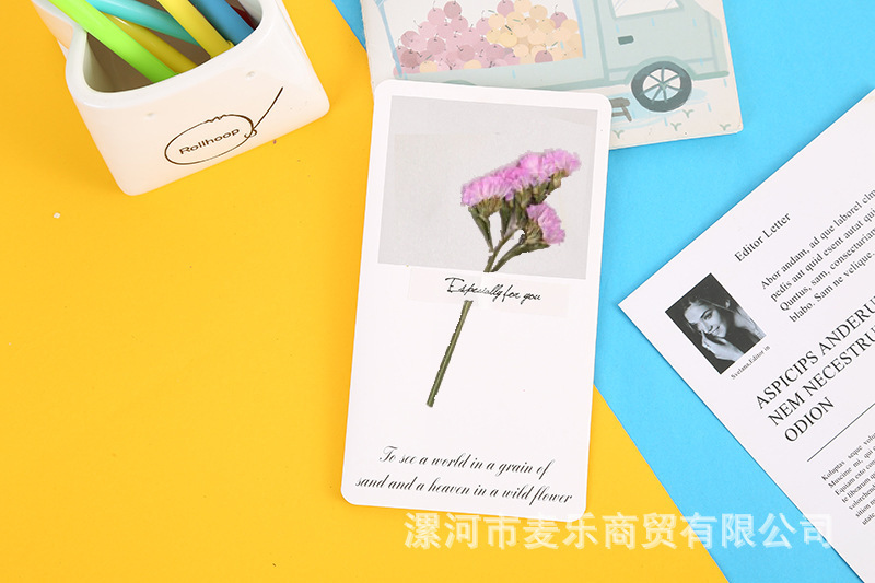 Set 10 Thiệp Hoa Khô RC1256