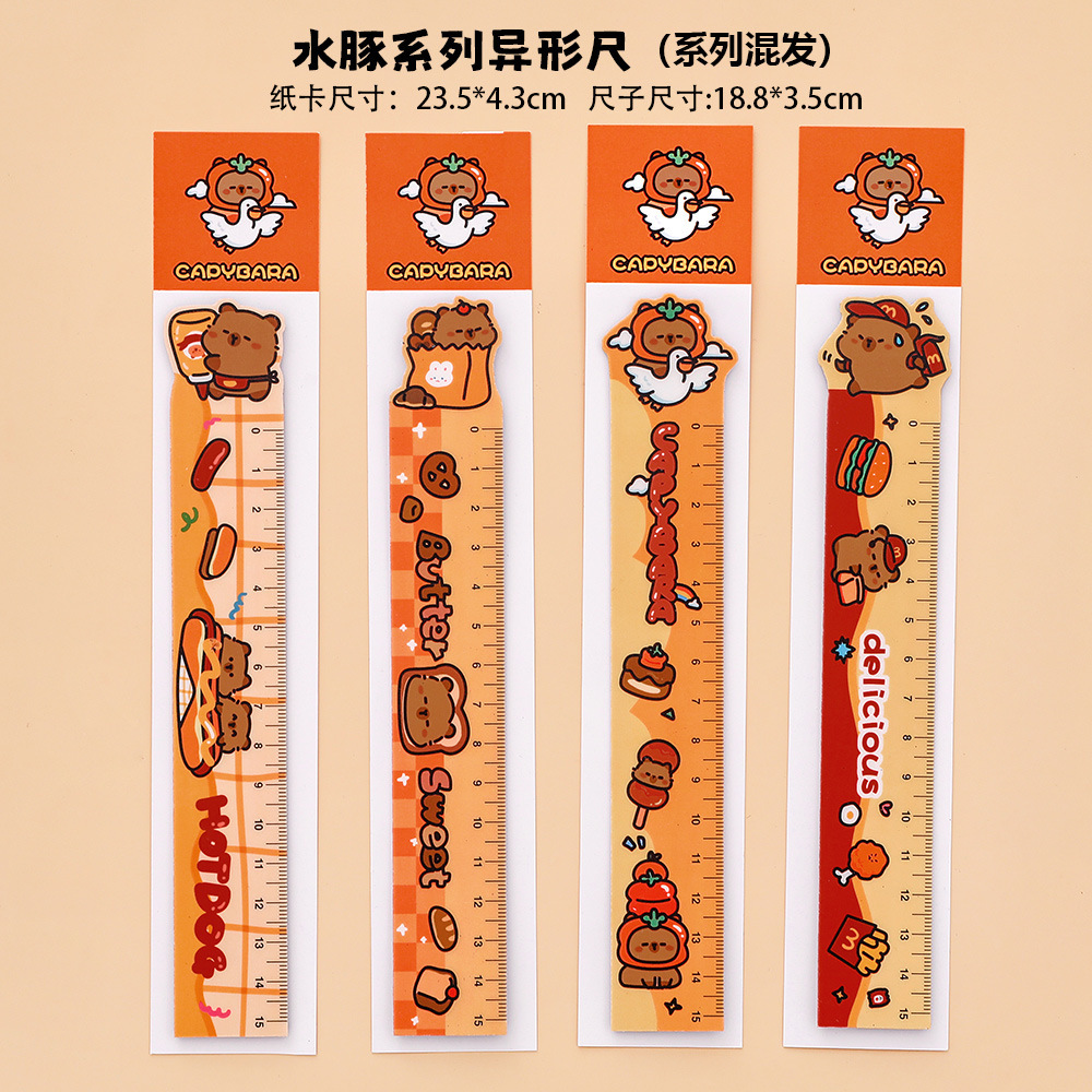 Set 10 Thước Dẻo RC4266