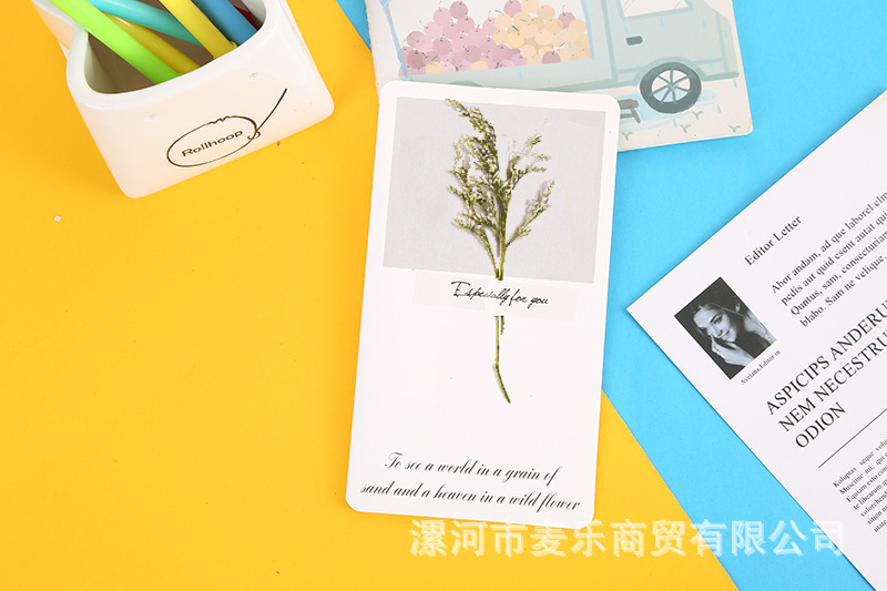 Set 10 Thiệp Hoa Khô RC1256