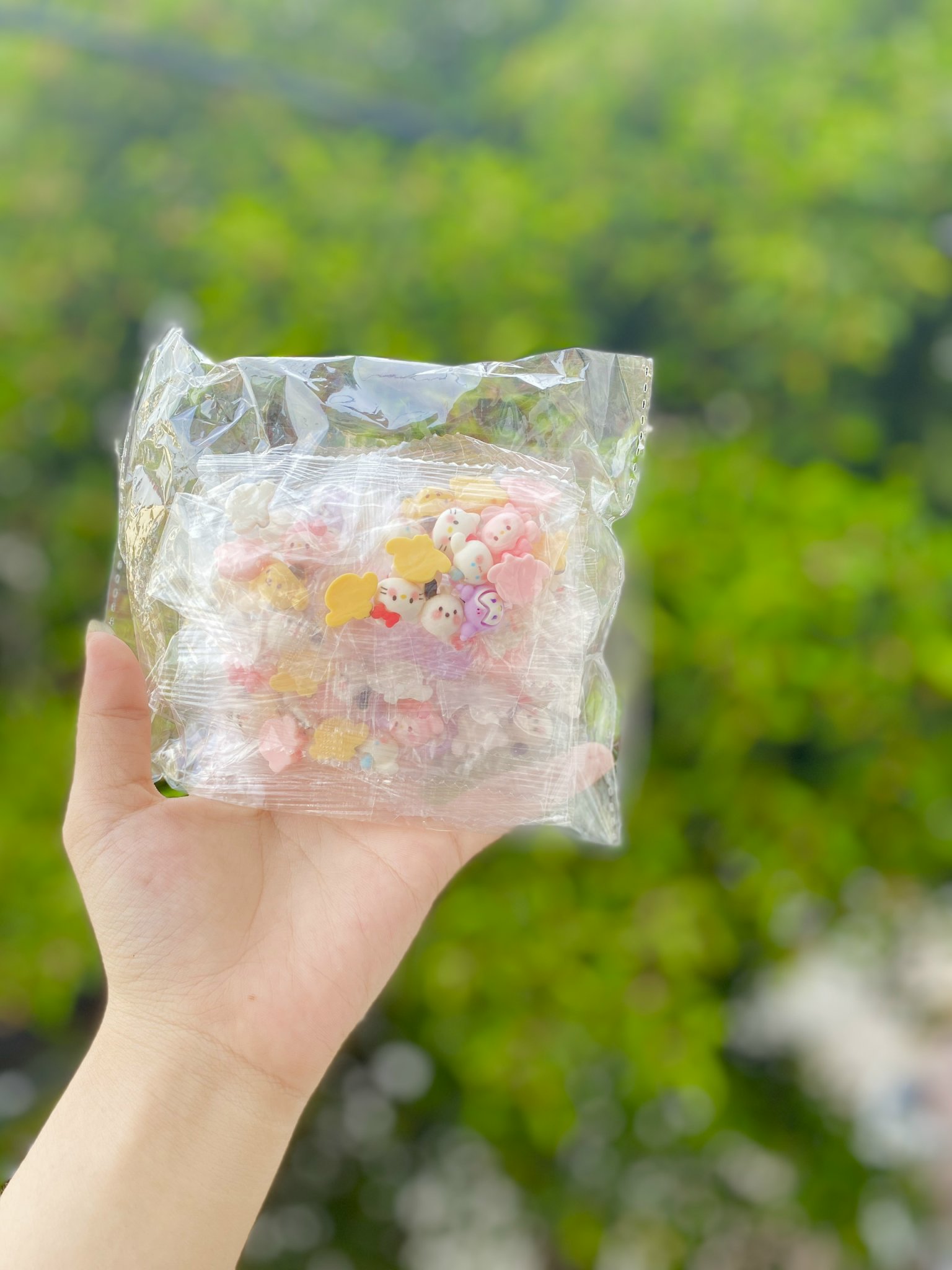 Set Charm Mini RC04679