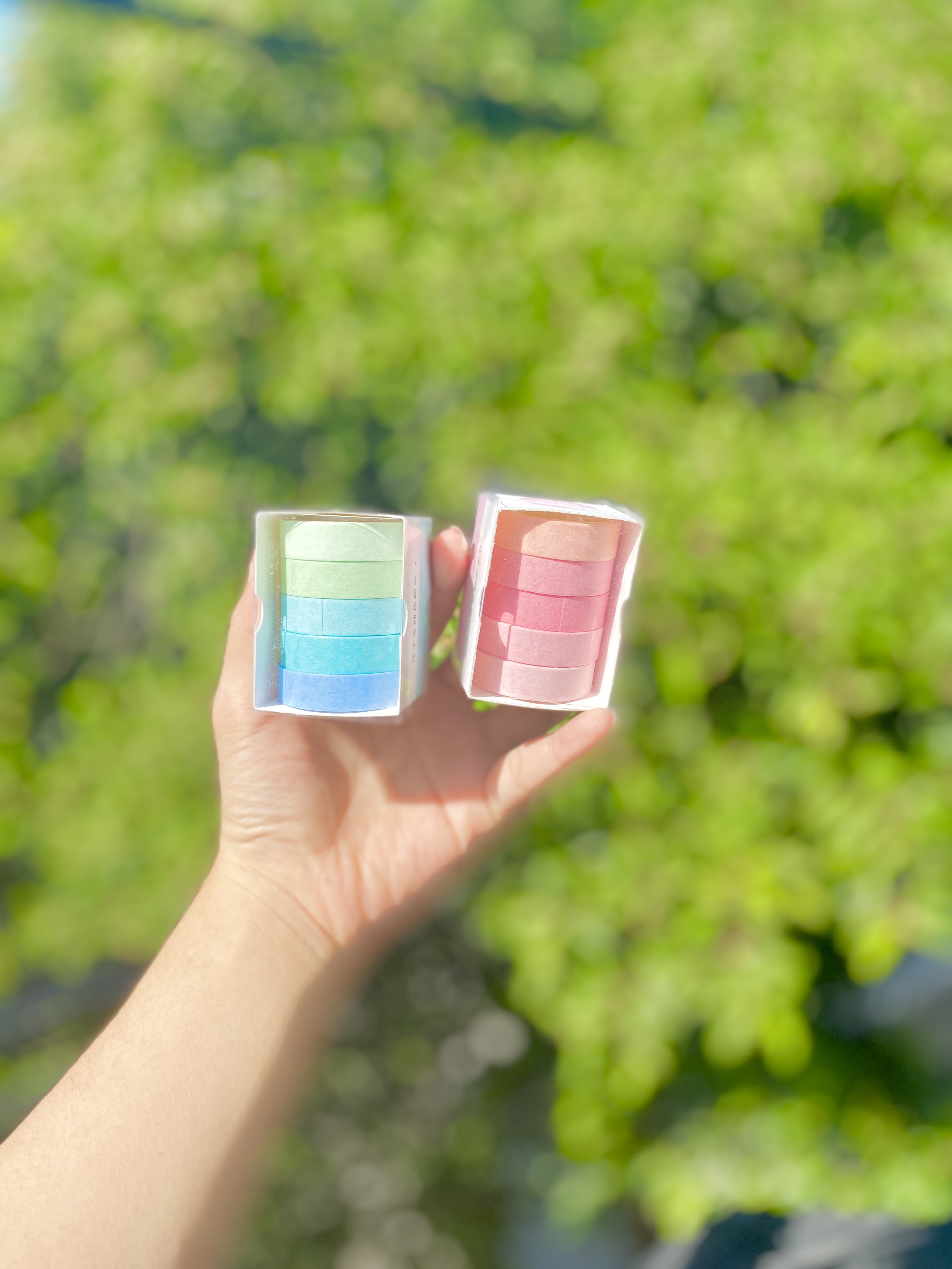 Hộp WashiTape RC0560