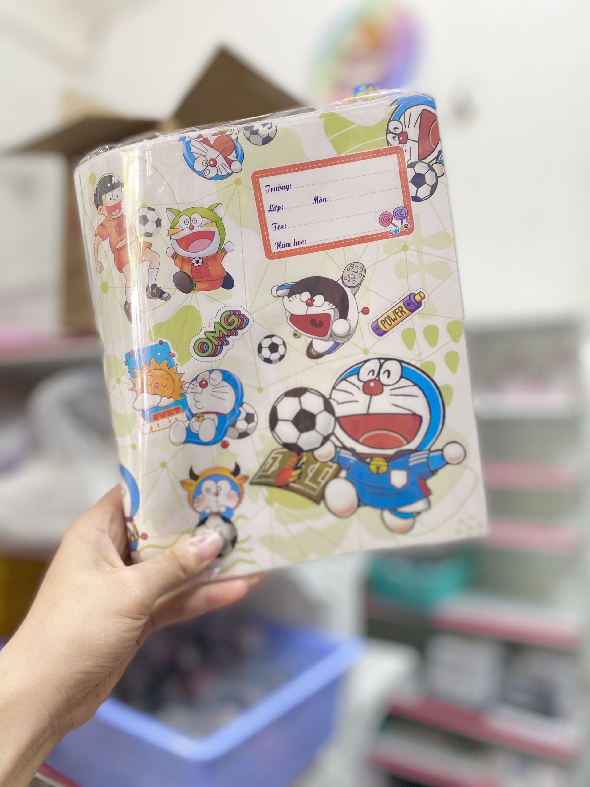 Sấp Bìa Bao Tập ND10