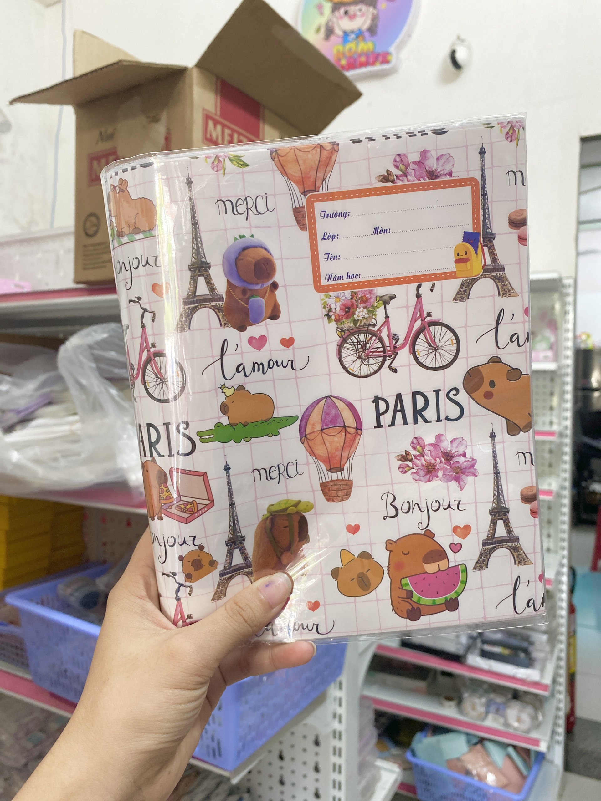 Sấp Bìa Bao Tập ND10