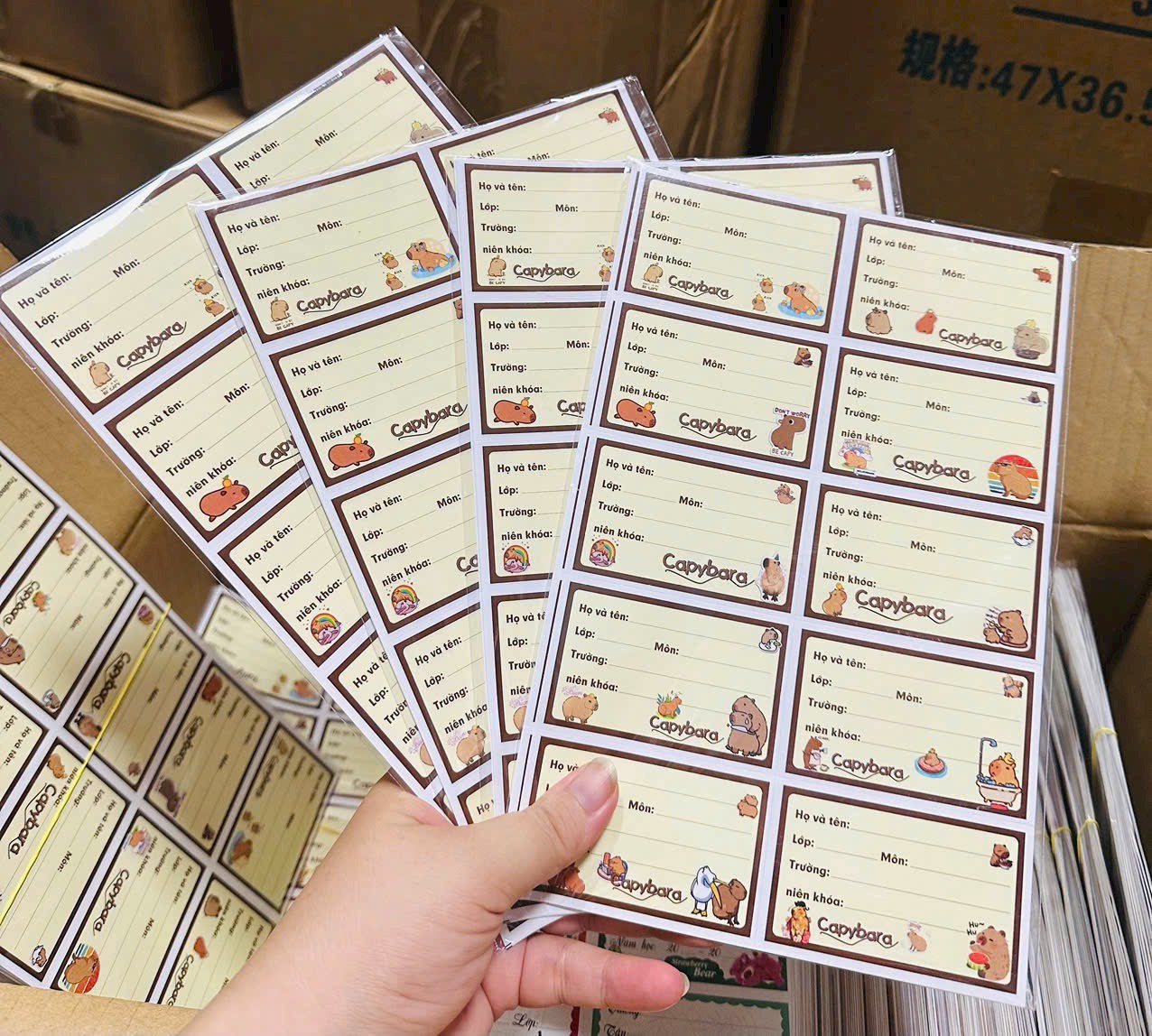 Sấp 10 Nhãn Vở 10 Ô Capy ND22