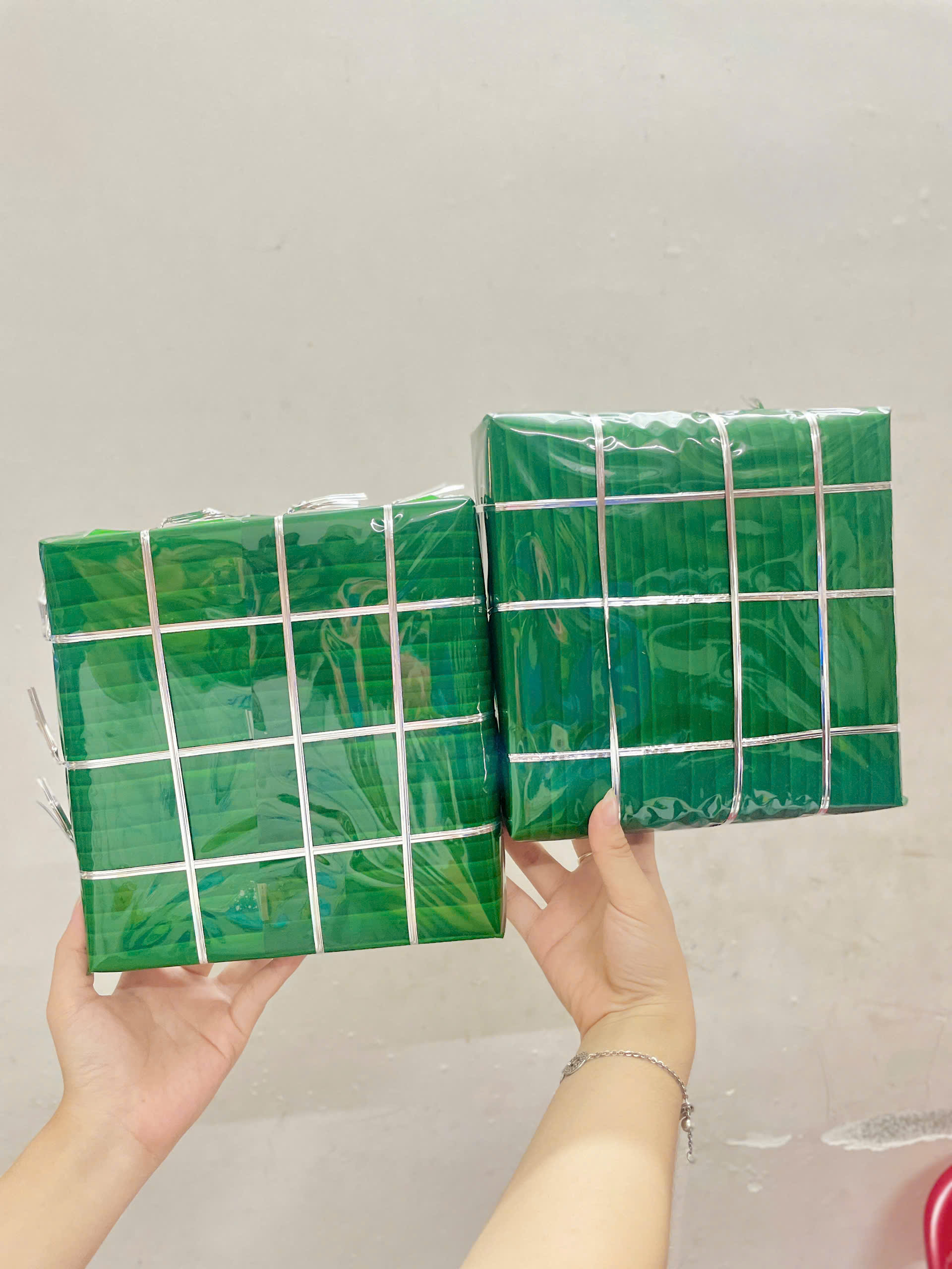 Mô Hình Bánh Trưng HM1